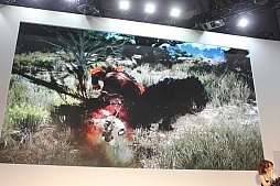 画像ギャラリー No.017のサムネイル画像 / オープンサービスの開始日や新クラス「リトルサマナー」など新情報が目白押し。大ボリュームだった「黒い砂漠」のステージイベントをレポート