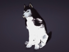 画像ギャラリー No.013のサムネイル画像 / 「黒い砂漠」の大型アップデート「朱き都と東方の風」が本日実装。目玉の“三大コンテンツ”と新規サーバーの4つの新要素が追加に