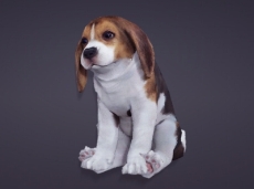 画像ギャラリー No.014のサムネイル画像 / 「黒い砂漠」の大型アップデート「朱き都と東方の風」が本日実装。目玉の“三大コンテンツ”と新規サーバーの4つの新要素が追加に