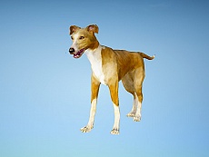 画像ギャラリー No.019のサムネイル画像 / 「黒い砂漠」新クラス「ウィザード」と「ウィッチ」が本日実装。ログインするだけで便利アイテムがもらえる「WELCOMEキャンペーン」もスタート