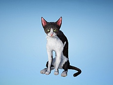 画像ギャラリー No.020のサムネイル画像 / 「黒い砂漠」新クラス「ウィザード」と「ウィッチ」が本日実装。ログインするだけで便利アイテムがもらえる「WELCOMEキャンペーン」もスタート