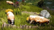 画像ギャラリー No.026のサムネイル画像 / 「黒い砂漠」アップデート「戦士の目覚めと天空の女王」を本日実装。乳牛の育成や道案内経路のカスタマイズが可能に