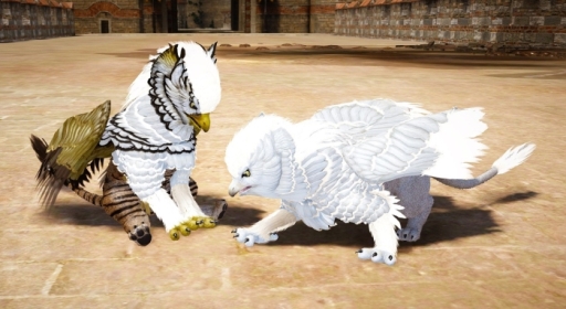 画像ギャラリー No.007のサムネイル画像 / 「黒い砂漠」,イベント「2nd Anniversary BBQ」宮城会場の参加者募集開始