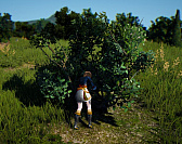 画像ギャラリー No.005のサムネイル画像 / 「黒い砂漠」,新規ギルドレイドボス「狂気のマスカン」が実装。大量のシルバーが手に入る一攫千金「黄金子犬」イベントも