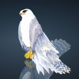 画像ギャラリー No.006のサムネイル画像 / 「黒い砂漠」Twitterフォロワー3万人突破を記念したキャンペーンが開催