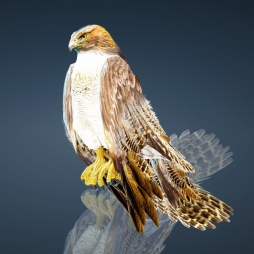 画像ギャラリー No.007のサムネイル画像 / 「黒い砂漠」Twitterフォロワー3万人突破を記念したキャンペーンが開催