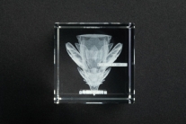 画像ギャラリー No.010のサムネイル画像 / 「モンハン」“CFB スタンダードモデル”を使用した写真コンテストが開催に