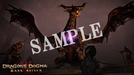 #004Υͥ/Dragon's Dogma: Dark Arisen323ǡ324ŹƬθɲóŤꡣŹ̹ŵɲþ