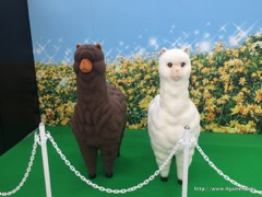 画像ギャラリー No.018のサムネイル画像 / 本邦初公開の「MOMENT RING」EXPERTで初見フルコン達成者も現れる。全国1位の座をかけた「スクフェス全国大会」決勝イベントをレポート