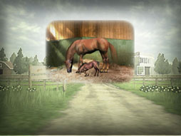 画像ギャラリー No.004のサムネイル画像 / 「どこでもダビつく」が11月下旬にdゲームでのサービスを開始