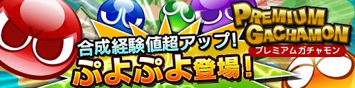 画像ギャラリー No.003のサムネイル画像 / 「ドラゴンコインズ」で「ぷよぷよ!!クエスト」配信決定を記念したコラボが実施