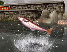 画像ギャラリー No.006のサムネイル画像 / 「Fish Hunt 世界を釣れ!」,明日からのオープンサービスを控えて,最新釣りスポットの情報を公開