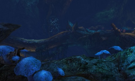 画像ギャラリー No.013のサムネイル画像 / 「BOUNDRA」が本日アップデート,60までのレベルキャップ開放&新マップや新ダンジョンが実装に。GSコード対応記念イベントも開催中だ