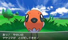 画像ギャラリー No.020のサムネイル画像 / 「ポケットモンスター X・Y」,“伝説のポケモン”の勇士をあしらったパッケージ,主人公キャラの仕様,ゲームの流れや新ポケモンの情報を公開