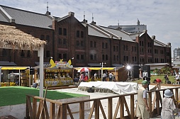 画像集#001のサムネイル/50匹のピカチュウが会場を埋め尽くした「史上最多のピカチュウ撮影会」をレポート