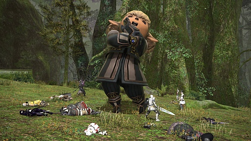 画像集#007のサムネイル/「ファイナルファンタジーXIV:新生エオルゼア」と,「ドラゴンクエストX」および「ファイナルファンタジーXI」とのコラボ企画が2014年1月21日にスタート