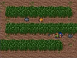 画像ギャラリー No.011のサムネイル画像 / RPG「ブレス オブ ファイアII 使命の子」がWii Uバーチャルコンソールに登場