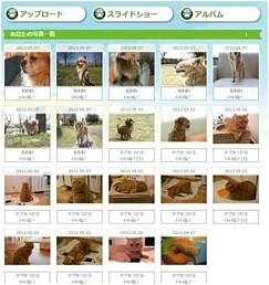 画像ギャラリー No.003のサムネイル画像 / 犬/猫/うさぎのアバターを育成するSNS「peaco」のCBTが5月16日12:00スタート&参加者を募集中。実際に飼っているペットの写真を投稿する機能も