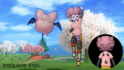 画像ギャラリー No.001のサムネイル画像 / PC版「ドラゴンクエストX」の「先行体験版」ダウンロードがNVIDIA Japanの特設サイトでスタート。作成したキャラは正式サービスへ引き継ぎ可能