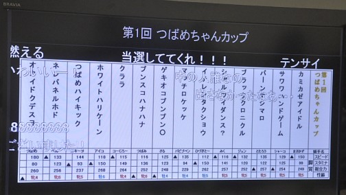 画像集#021のサムネイル/約800頭の頂点が決定。つばめちゃんへの愛も試された,3DS「ソリティ馬」公式大会「第2回ゲーフリカップ」ファイナルカップレポート