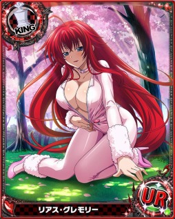 画像ギャラリー No.007のサムネイル画像 / 「ハイスクールD×D」レイドボスイベント「夢のアニマルパラダイス!」開催