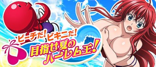 画像ギャラリー No.001のサムネイル画像 / 「ハイスクールD×D」2人のキャラが競演する新カード「W(にゅ〜)レア」登場