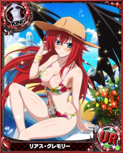 画像ギャラリー No.002のサムネイル画像 / 「ハイスクールD×D」,レイド「はだいろ全開☆南の島でバカンスです!」が開催