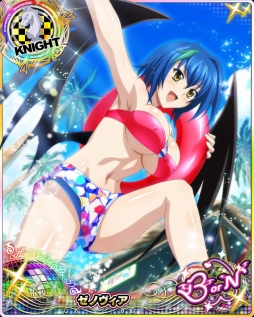 画像ギャラリー No.010のサムネイル画像 / 「ハイスクールD×D」,レイド「はだいろ全開☆南の島でバカンスです!」が開催