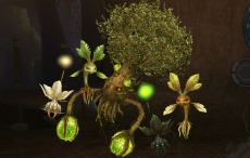 画像集#003のサムネイル/「ステラセプトオンライン」,特殊なモンスターが出現する新マップ「大樹の廃墟」や「研磨装備」などを実装