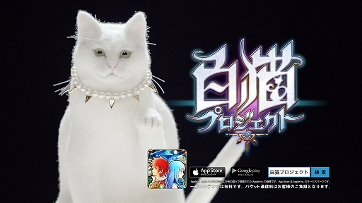 画像集#001のサムネイル/「白猫プロジェクト」,大島優子さんの出演するTVCMが本日から放映