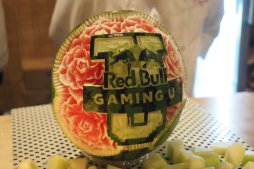  No.015Υͥ / ֥VץץƮޡ8̾ˤ롤12ν鿴ԶɡRed Bull Gaming U 2016ץݡȡˤʤֵƤ䤤