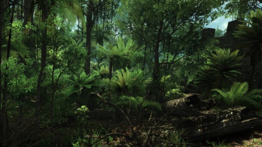 画像ギャラリー No.002のサムネイル画像 / CryENGINE 3.0の技術デモとして公開されていた「Wander」,MMOアドベンチャーとなって発売決定