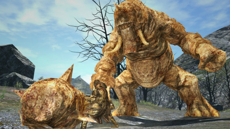  No.009Υͥ / Dragon's Dogma Onlineפκǿåץǡȡ֥1.3³9Υ֥֡륱ߥȡפ俷ꥢ󥹥ξ󤬸