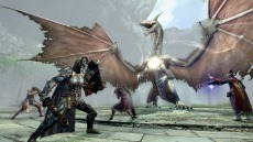 Dragon's Dogma Onlineץåץǡȡ֥2.1פȥ쥸㡼åȡֹԤηפʤɿƥ䤬