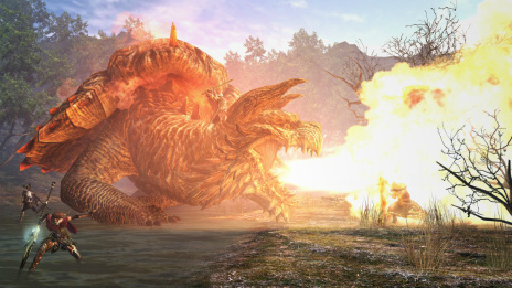 Dragons Dogma Onlineסȥ2.2ɤΥեǶΥӥ奢롤ƥեΦε֥饹פ