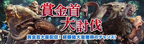 画像ギャラリー No.005のサムネイル画像 / 「Dragon’s Dogma Online」でエピタフロードの第4区画が開放