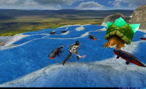 画像ギャラリー No.002のサムネイル画像 / βテスト版「トーラムオンライン」がアップデート。新マップやボスが追加