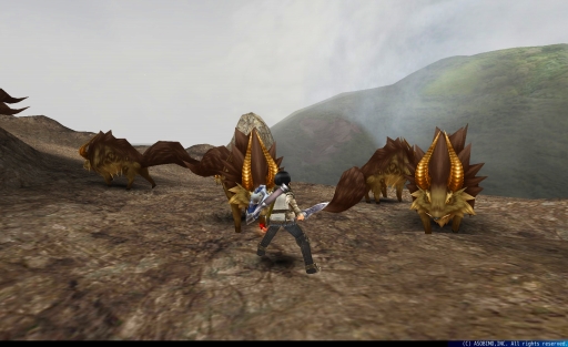 画像ギャラリー No.003のサムネイル画像 / βテスト版「トーラムオンライン」がアップデート。新マップやボスが追加