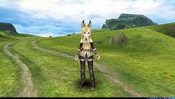 画像ギャラリー No.009のサムネイル画像 / 「トーラムオンライン」,今回のアップデートでキャラレベルの上限が90に