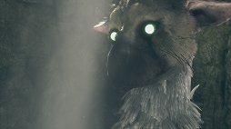 画像ギャラリー No.010のサムネイル画像 / 少年と大鷲の絆が,コントローラを通して感じられる。「人喰いの大鷲トリコ」をレビュー