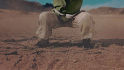 画像ギャラリー No.014のサムネイル画像 / ジャッキー・チェンさんが武闘家になって参戦。「星のドラゴンクエスト」のテレビCMが本日より全国で順次放送