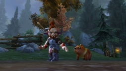 画像ギャラリー No.004のサムネイル画像 / 「オーダー&カオス2」に春祭りダンジョンやペットシステムなどが登場