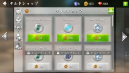 画像ギャラリー No.018のサムネイル画像 / 「オーダー&カオス2」に春祭りダンジョンやペットシステムなどが登場