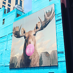 画像ギャラリー No.002のサムネイル画像 / ルギア配布の裏でなにが起きていたのか。「Pokémon GO Fest シカゴ」のレポートと須賀氏&川島氏へのミニインタビューを掲載