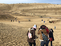 画像ギャラリー No.006のサムネイル画像 / イベント「Pokémon GO Safari Zone in 鳥取砂丘」は3日間で約8万9000人を動員,経済効果は約18億円に