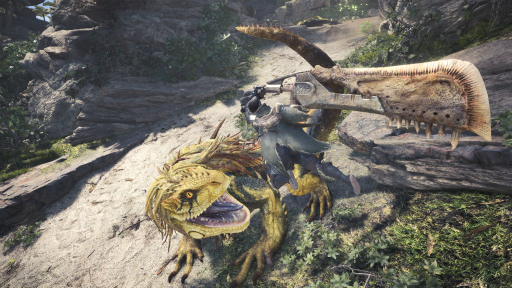  No.006Υͥ / MONSTER HUNTER: WORLD2١ƥȤ122320027ˤƼ»ܡPS Plus̤οͤ⻲òǽ