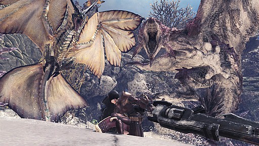  No.010Υͥ / MONSTER HUNTER: WORLDס֥ȥ꡼ȥեVפȤΥڥ륳1Ƥʤɡ饤ۿ륤٥ȥȤξ󤬸