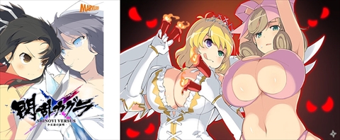 画像ギャラリー No.003のサムネイル画像 / DMM.comでPCソフト最大70%引きの期間限定セールが開始。ゲームは「閃乱カグラ SHINOVI VERSUS」「Ever17」など124作品が対象