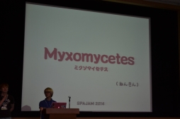 画像集#040のサムネイル/「スマートフォンアプリジャム2014」2日目昼から最終プレゼンまでの模様をレポート。ガンホー森下氏×コロプラ柳澤氏の討論会も実施