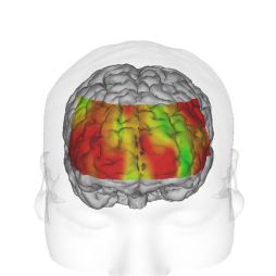 画像ギャラリー No.006のサムネイル画像 / 日本アクティビティ協会が「健康ゲーム指導士養成講座」を3月23日に開催